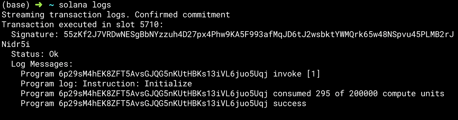 Screenshot for Anchor test when skipping deploy