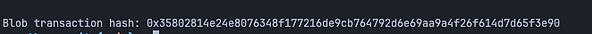 Terminal Image of a Blob Transaction Hash