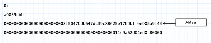 The 32 bytes of calldata that represents the address parameter
