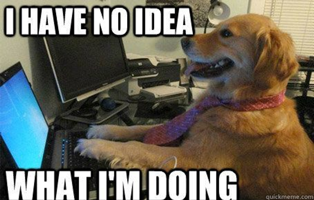 A dog at a computer