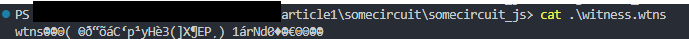 witness file cat to terminal
